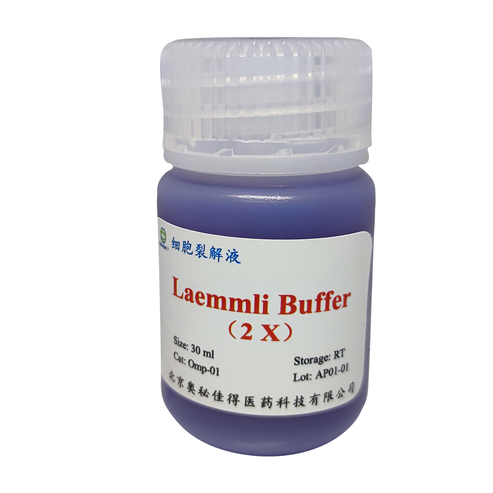 2x Laemmli Buffer