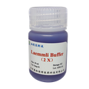 2x Laemmli Buffer