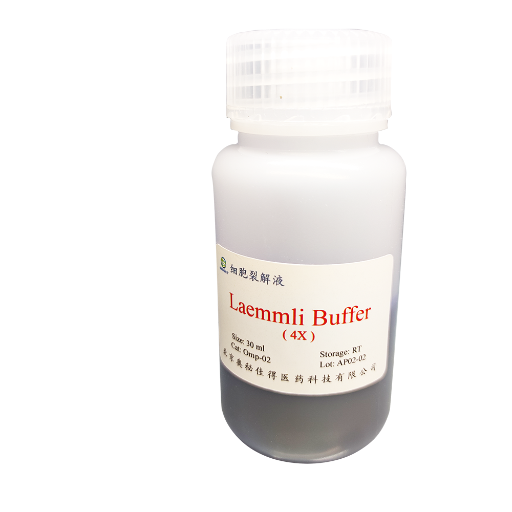 4 x Laemmli Buffer
