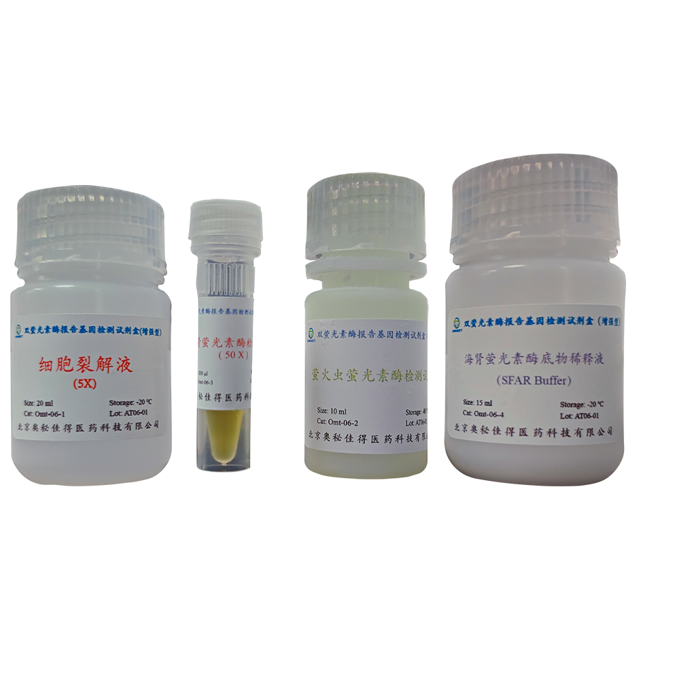 双荧光素酶报告基因检测试剂盒（增强型）