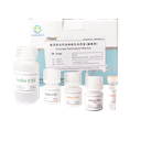 微量样品外泌体纯化试剂盒（磁珠型）