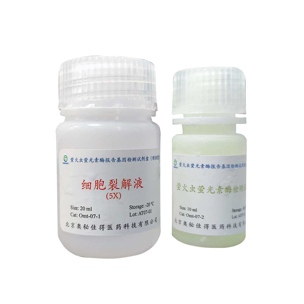 海肾荧光素酶报告基因检测试剂盒（增强型）