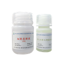 海肾荧光素酶报告基因检测试剂盒（增强型）