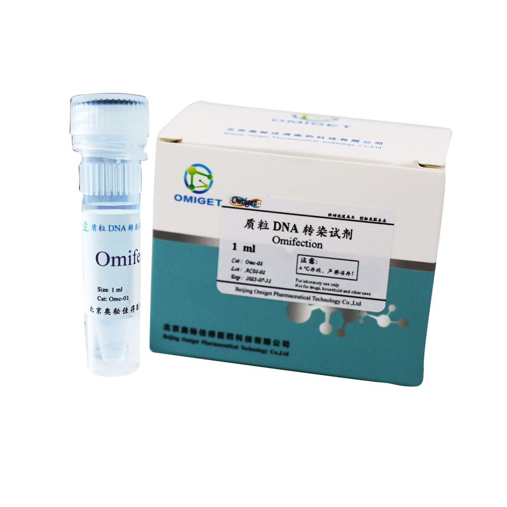 Omifection(质粒DNA转染试剂)