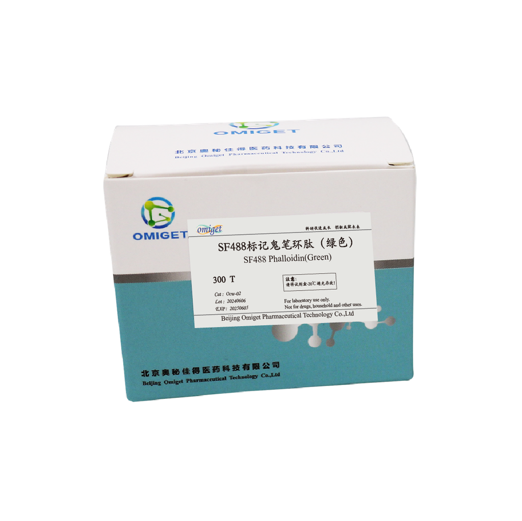 SF488标记鬼笔环肽（绿色）
