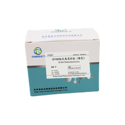 SF488标记鬼笔环肽（绿色）