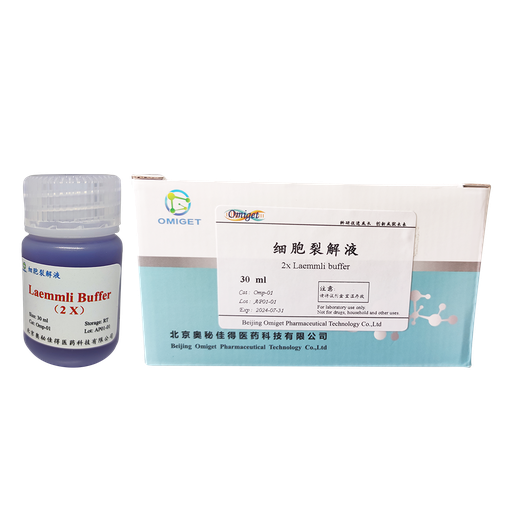 [Omp-01] 2x Laemmli Buffer