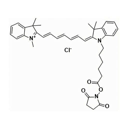 [OCY702] Cyanine7 NHS ester