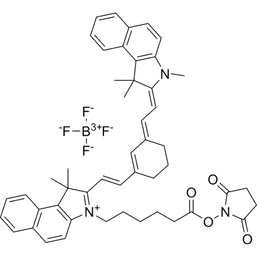 [OCY7502] Cyanine7.5 NHS ester